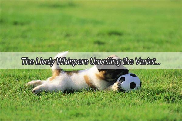 The Lively Whispers Unveiling the Variety of a Golden Retrievers Dreamy Sounds